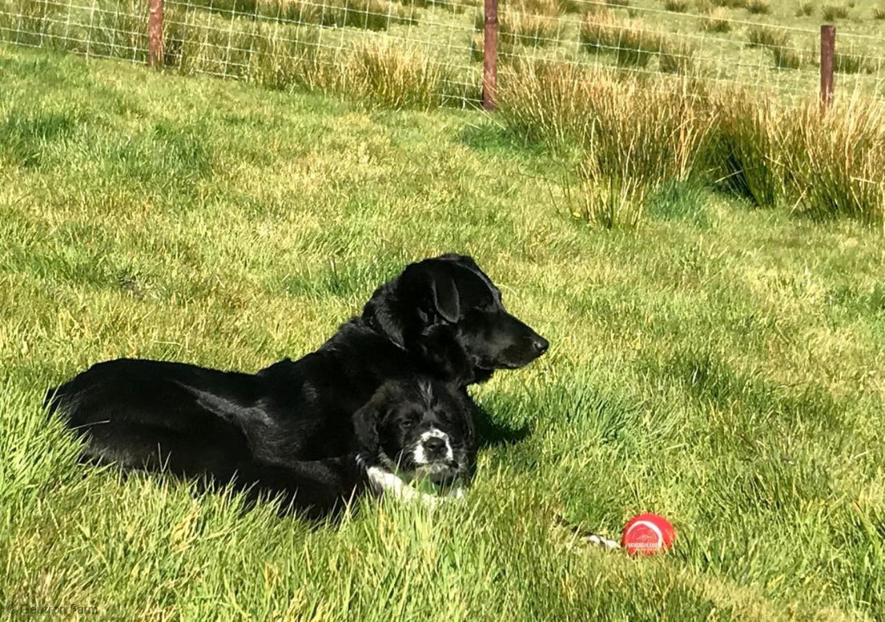 The Barn At Geufron Farm - Dog Friendly - Nr Tywyn Villa Bryn-crug Exterior photo